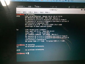Kali Linux笔记本无线网卡缺失排查与加载指南